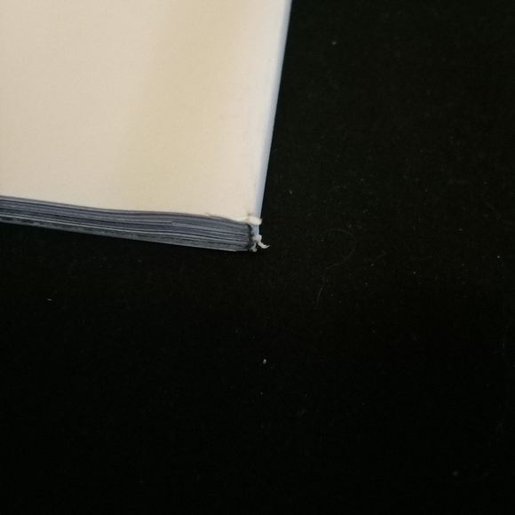 Harper's Bazaar Magazine The Art Issue Miley Cyrus December 2024/January 2025 - Picture 13 of 14